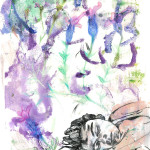 Lavande officinale, gravure et monotype sur papier, 30 x 40 cm, 2016 © Marie Tijou