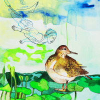 Chevalier guignette, acrylique et feutre, 50 x 40 cm, 2015 © Marie Tijou Chevalier guignette, acrylique et feutre, 50 x 40 cm © Marie Tijou