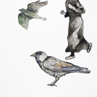 Choucas des tours, aquarelle et stylo, 56 x 76 cm, 2015 © Marie Tijou Choucas des tours, aquarelle et stylo, 56 x 76 cm © Marie Tijou