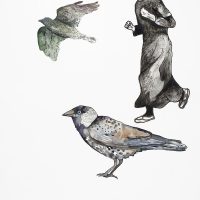 Choucas des tours, aquarelle et stylo, 56 x 76 cm, 2015 © Marie Tijou Choucas des tours, aquarelle et stylo, 56 x 76 cm © Marie Tijou