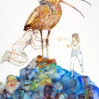 Courlis cendré, aquarelle sur papier, 109.2 x 78.7 cm, 2015 © Marie Tijou Courlis cendré, aquarelle sur papier, 109.2 x 78.7 cm © Marie Tijou