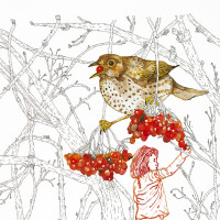 Grive musicienne, aquarelle et stylo, 50 x 40 cm, 2015 © Marie Tijou Grive musicienne, aquarelle et stylo, 50 x 40 cm, 2015 © Marie Tijou