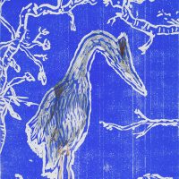 Héron bleu, aquarelle et monotype, 56 x 76 cm, 2015 © Marie Tijou Héron bleu, aquarelle et monotype, 56 x 76 cm, 2015 © Marie Tijou