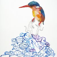 Martin pêcheur, aquarelle et stylo, 56 x 76 cm, 2015 © Marie Tijou Martin pêcheur, aquarelle et stylo, 56 x 76 cm, 2015 © Marie Tijou