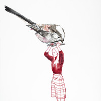 Mésange à longue queue, aquarelle, 56 x 76 cm, 2015 © Marie Tijou Mésange à longue queue, aquarelle, 56 x 76 cm © Marie Tijou