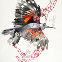 Tichodrome échelette, encre et stylo sur papier, 109.2 x 78.7 cm, 2015 © Marie Tijou Tichodrome échelette, encre et stylo sur papier, 109.2 x 78.7 cm, 2015 © Marie Tijou