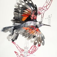 Tichodrome échelette, encre et stylo sur papier, 109.2 x 78.7 cm, 2015 © Marie Tijou Tichodrome échelette, encre et stylo sur papier, 109.2 x 78.7 cm, 2015 © Marie Tijou