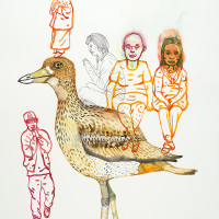 Œdicnème criard, aquarelle et stylo, 56 x 76 cm, 2015 © Marie Tijou Œdicnème criard, aquarelle et stylo, 56 x 76 cm, 2015 © Marie Tijou