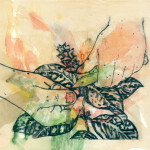 Les soignants, gravure et monotype sur papier, 20 x 30 cm, 2016 © Marie Tijou