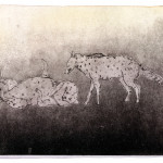 Loups, aquatinte sur papier, 30 x 40 cm, 2017 © Marie Tijou