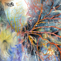 Corail rouge, aquarelle et gravure, 56 x 76 cm, 2017 © Marie Tijou Corail rouge, aquarelle et gravure, 56 x 76 cm, 2017 © Marie Tijou