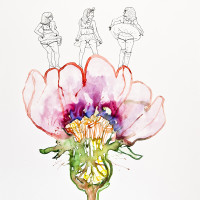 Anémone dansante, aquarelle, encre et staedtler sur papier, 56 x 76 cm, 2015 © Marie Tijou