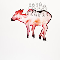 Chevreuil à bosse, aquarelle, encre et staedtler sur papier, 56 x 76 cm, 2015 © Marie Tijou