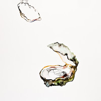Huîtres, aquarelle, encre et staedtler sur papier, 56 x 76 cm, 2015 © Marie Tijou
