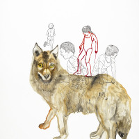 Loup, aquarelle, encre et staedtler sur papier, 56 x 76 cm, 2015 © Marie Tijou