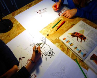 Atelier pédagogique adultes : bestiaire étranger.