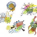 Atelier pédagogique maternelle-primaire : jardins sous-marins. Atelier pédagogique maternelle-primaire : jardins sous-marins.