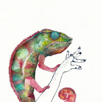 Caméléon, aquarelle et gravure, 50 x 50 cm, 2021 © Marie Tijou