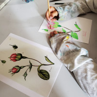 Vue d'atelier, juillet 2023.