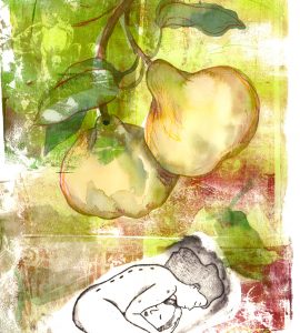 Coings, gravure et monotype sur papier, 50 x 35 cm, 2026 © Marie Tijou