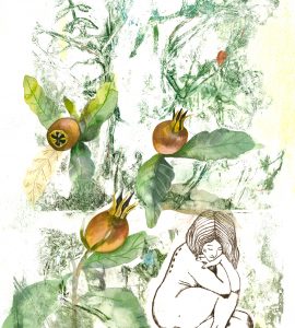 Néflier, gravure et monotype sur papier, 50 x 35 cm, 2026 © Marie Tijou