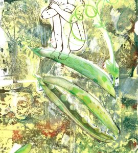 Haricots, gravure et monotype sur papier, 50 x 35 cm, 2026 © Marie Tijou