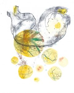 Cochon de lait, monotype et gravure, 40 x 50 cm, 2025 © Marie Tijou