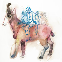 Antilope, aquarelle, encre et staedtler sur papier, 56 x 76 cm, 2015 © Marie Tijou