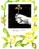 Bouton d'or, monotype et gravure, 18 x 25 cm, 2023 © Marie Tijou